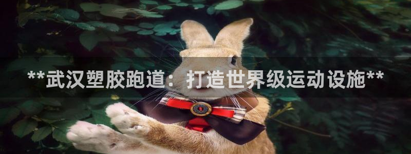 谈球吧综合官网app：**武汉塑胶跑道：打造世界级运动设施**