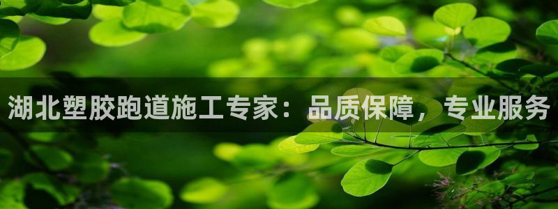 谈球吧体育在线：湖北塑胶跑道施工专家：品质保障，专业服务