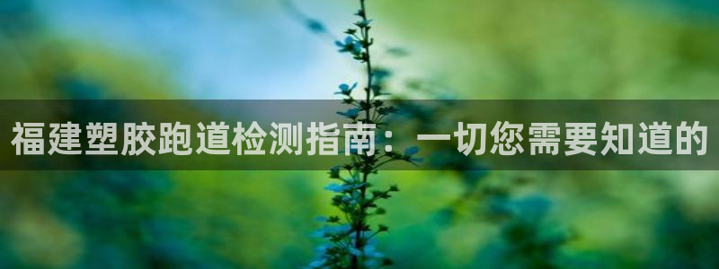 谈球吧app体育下载：福建塑胶跑道检测指南：一切您需要知道的