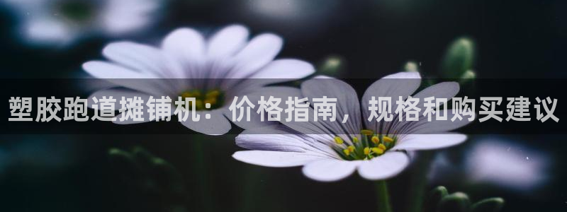 谈球吧论坛：塑胶跑道摊铺机：价格指南，规格和购买建议