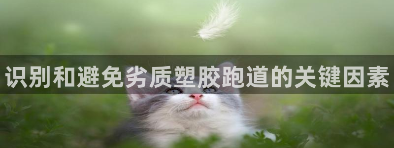 谈球吧体育app下载足球比赛：识别和避免劣质塑胶跑道的关键因素