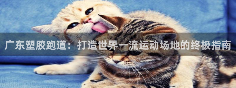 谈球吧体育app下载：广东塑胶跑道：打造世界一流运动