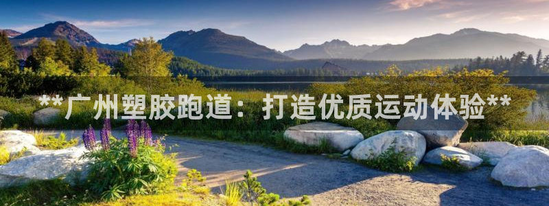 谈球吧平台正规吗可信吗安全吗：**广州塑胶跑道：打造