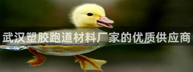 谈球吧app下载安装：武汉塑胶跑道材料厂家的优质供应商
