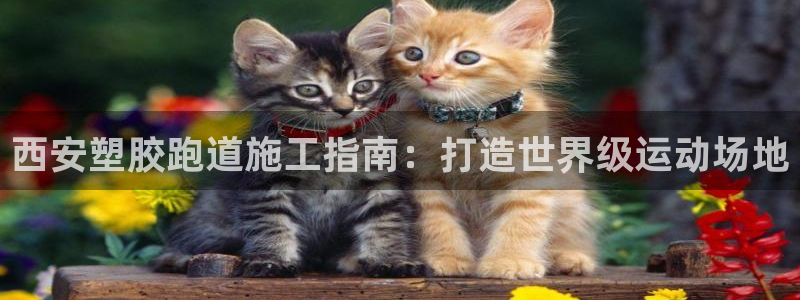 谈球吧是黑台子吗：西安塑胶跑道施工指南：打造世界级运