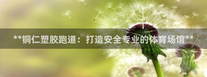谈球吧体育app登陆不了：**铜仁塑胶跑道：打造安全专业的体育场馆**