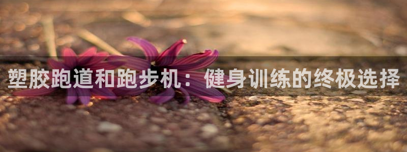 谈球吧-体育赛事：塑胶跑道和跑步机：健身训练的终极选择