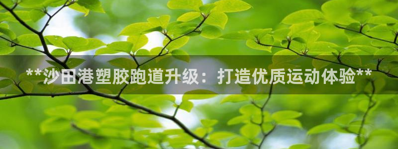 谈球吧是正规平台吗安全吗：**沙田港塑胶跑道升级：打造优质运动体验**