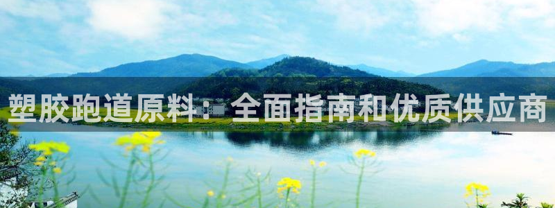 谈球吧的聊天软件叫什么来着：塑胶跑道原料：全面指南和