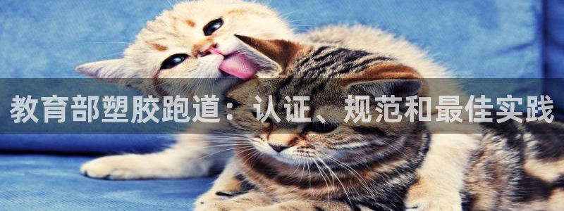 谈球吧体育app下载官网：教育部塑胶跑道：认证、规范