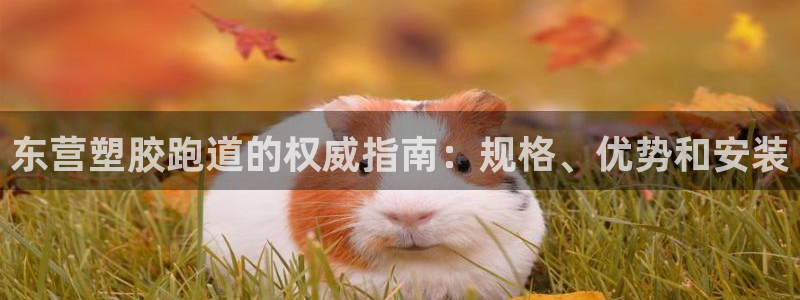 谈球吧网app官网下载：东营塑胶跑道的权威指南：规格