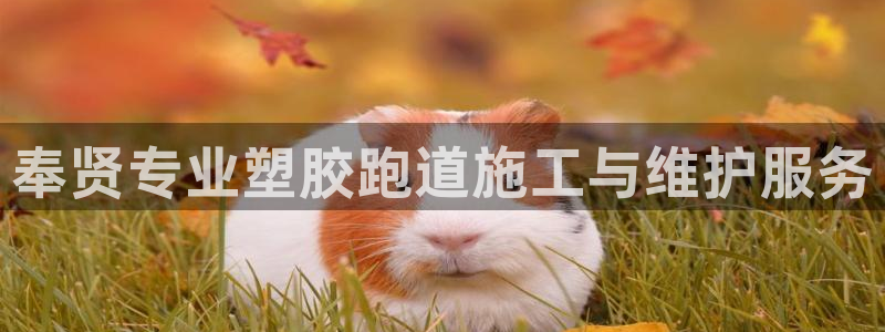 谈球吧体育app下载官网手机版苹果：奉贤专业塑胶跑道施工与维护服务