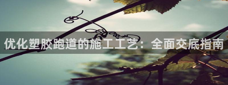 谈球吧网页版：优化塑胶跑道的施工工艺：全面交底指南