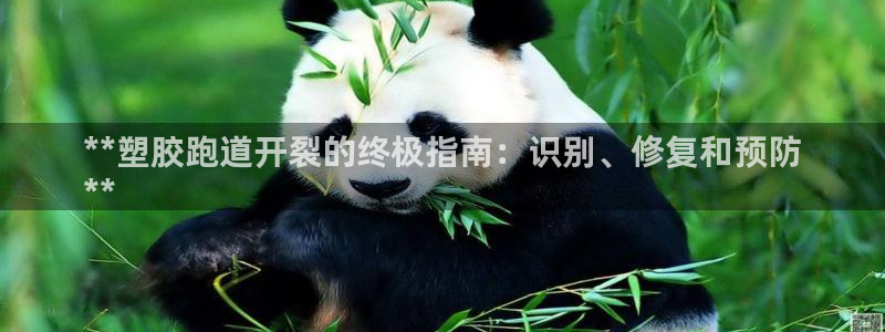谈球吧平台正规吗可信吗知乎：**塑胶跑道开裂的终极指