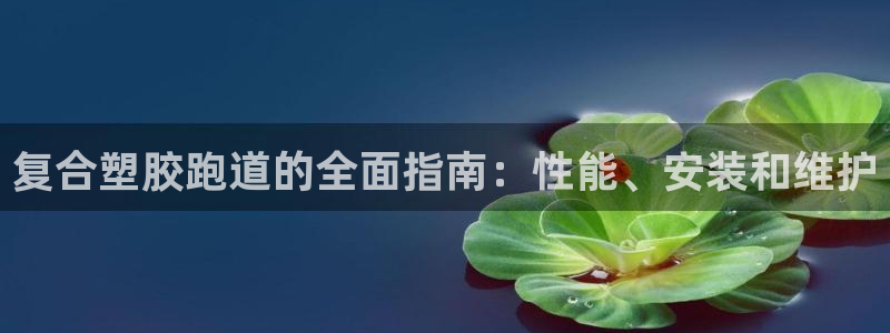 谈球吧出款怎样?：复合塑胶跑道的全面指南：性能、安装