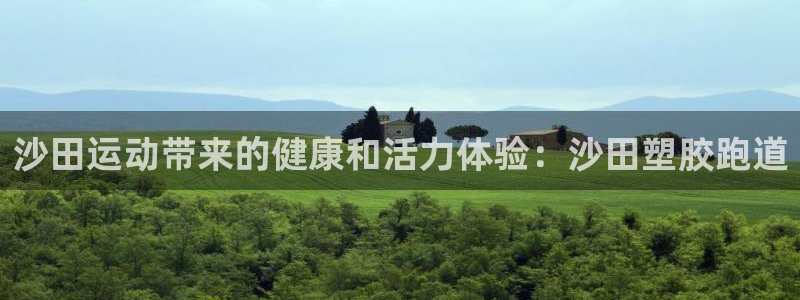 谈球吧官网在线入口免费观看高清视频：沙田运动带来的健康和活力体验：沙田塑胶跑道