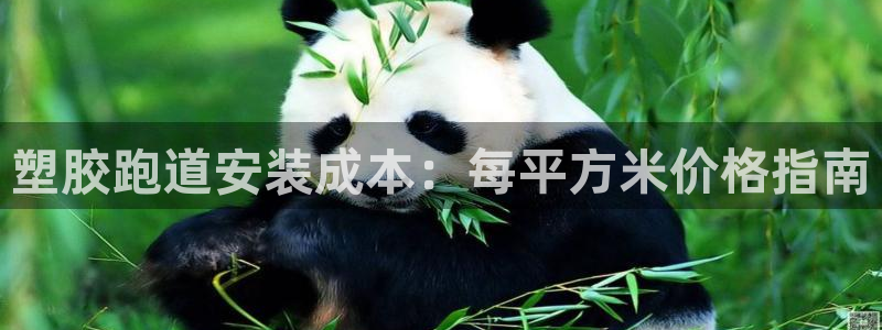 谈球吧体育app下载官网安卓：塑胶跑道安装成本：每平方米价格指南