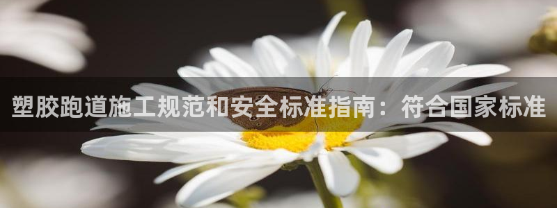 谈球吧靠谱吗：塑胶跑道施工规范和安全标准指南：符合国
