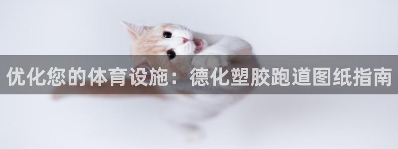 谈球吧红包码：优化您的体育设施：德化塑胶跑道图纸指南