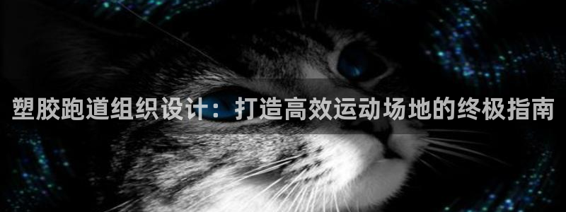 谈球吧网页版：塑胶跑道组织设计：打造高效运动场地的终