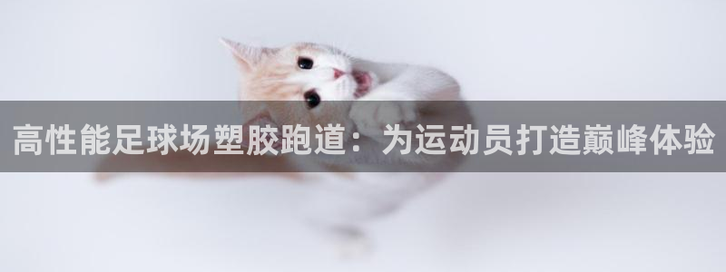 谈球吧体育app登陆不了：高性能足球场塑胶跑道：为运