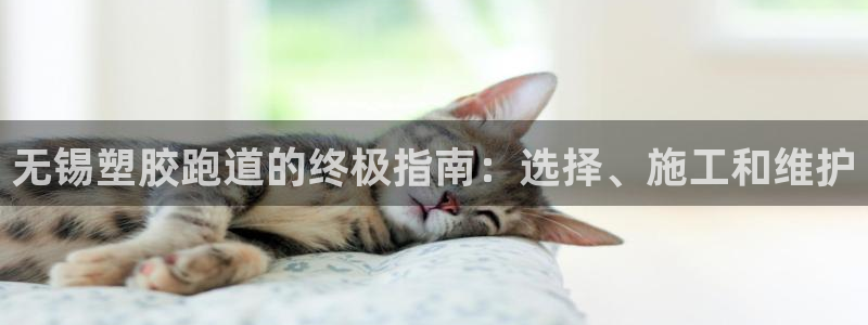 谈球吧app官方下载：无锡塑胶跑道的终极指南：选择、