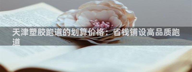 谈球吧官网在线入口手机版下载苹果：天津塑胶跑道的划算价格：省钱铺设高品质跑
道