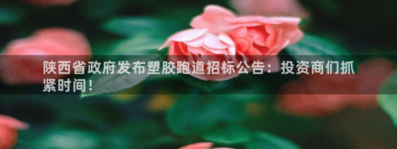 谈球吧体育赛事入口：陕西省政府发布塑胶跑道招标公告：