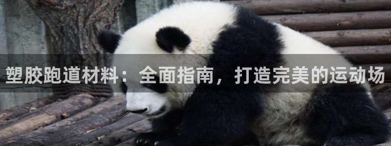谈球吧官网在线入口手机版免费下载：塑胶跑道材料：全面