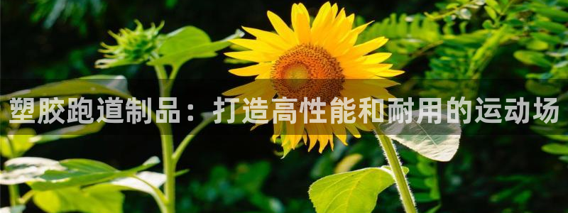 谈球吧体育ios下载：塑胶跑道制品：打造高性能和耐用