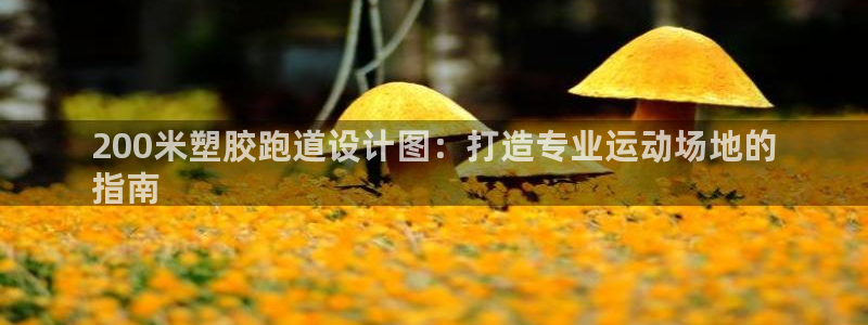 谈球吧全站app下载：200米塑胶跑道设计图：打造专