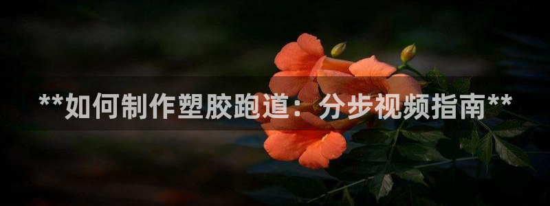 谈球吧官方网站：**如何制作塑胶跑道：分步视频指南*
