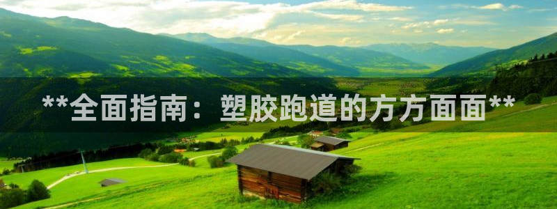 谈球吧电子：**全面指南：塑胶跑道的方方面面**