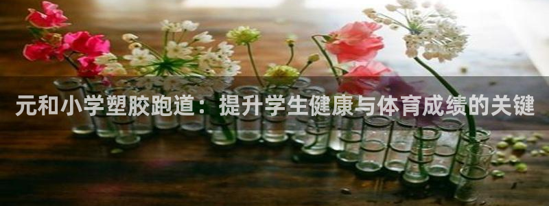 谈球吧体育app登陆：元和小学塑胶跑道：提升学生健康