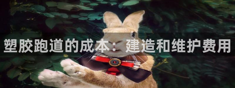 谈球吧属于哪个旗下：塑胶跑道的成本：建造和维护费用