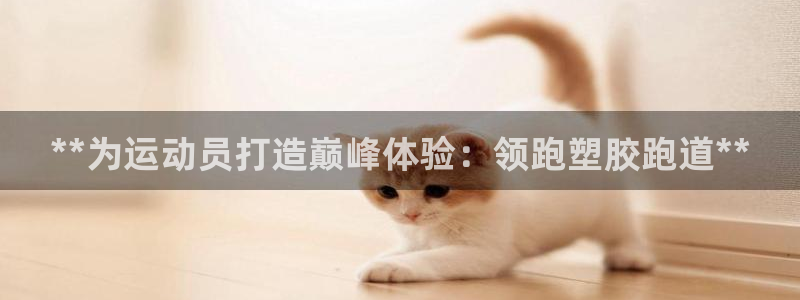 谈球吧官网提款不了