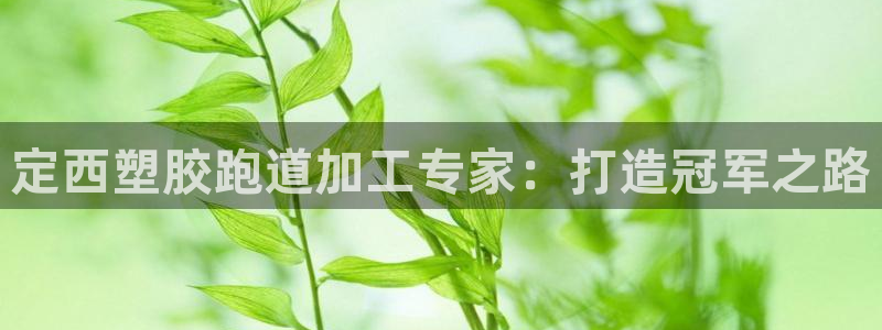谈球吧体育官网入口：定西塑胶跑道加工专家：打造冠军之路