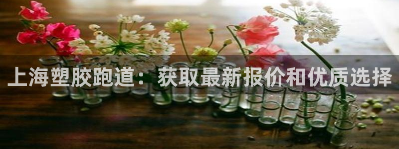 谈球吧中国：上海塑胶跑道：获取最新报价和优质选择