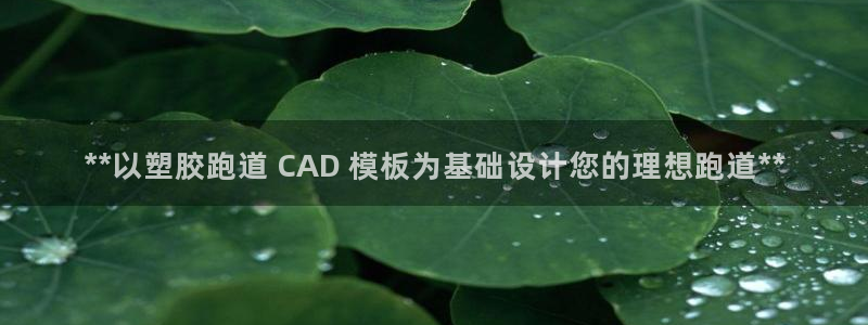 谈球吧出款怎样?：**以塑胶跑道 CAD 模板为基础