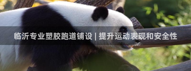 谈球吧是正规平台吗安全吗