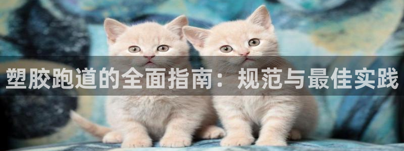 谈球吧属于哪个：塑胶跑道的全面指南：规范与最佳实践