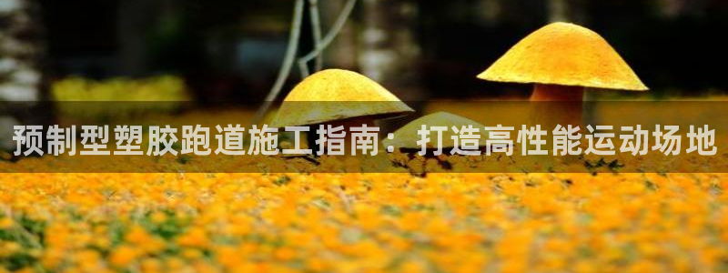 谈球吧属于哪个旗下：预制型塑胶跑道施工指南：打造高性能运动场