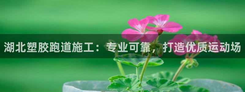 谈球吧体育官网入口：湖北塑胶跑道施工：专业可靠，打造