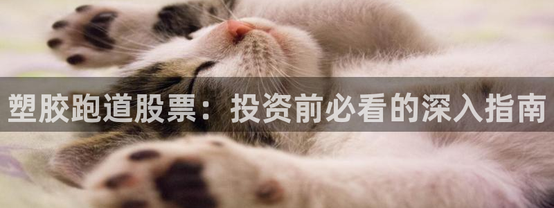 谈球吧算违法行为吗为什么：塑胶跑道股票：投资前必看的深入指南