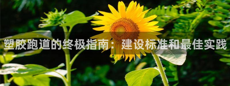 谈球吧官网在线入口免费观看高清版：塑胶跑道的终极指南：建设标