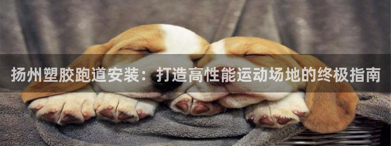 谈球吧在线登录免费观看：扬州塑胶跑道安装：打造高性能运动场地