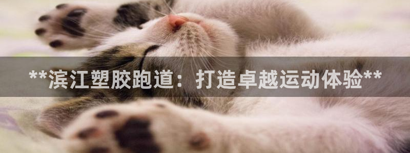 谈球吧体育赛事：**滨江塑胶跑道：打造卓越运动体验**