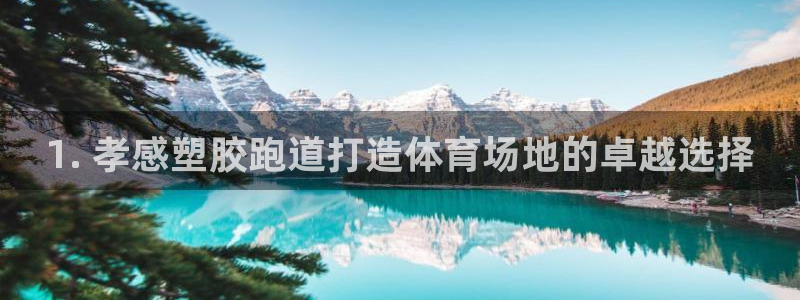 谈球吧体育app下载官网手机版：1. 孝感塑胶跑道打造体育场