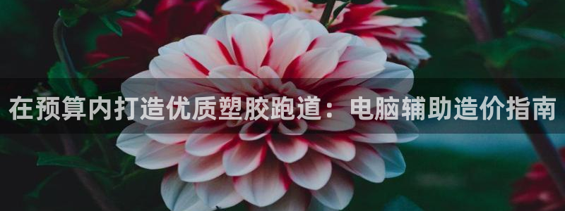 谈球吧在线登录：在预算内打造优质塑胶跑道：电脑辅助造