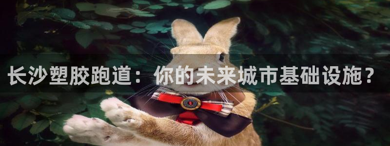 谈球吧言网入口